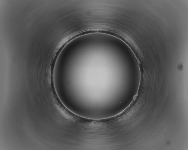 X0000094970842200712061426