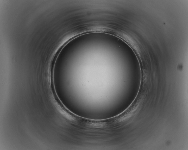 X0000094970843200712061426