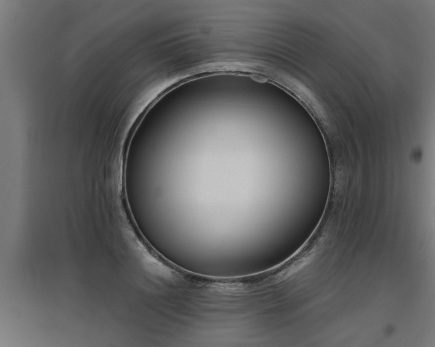 X0000094970844200712061426