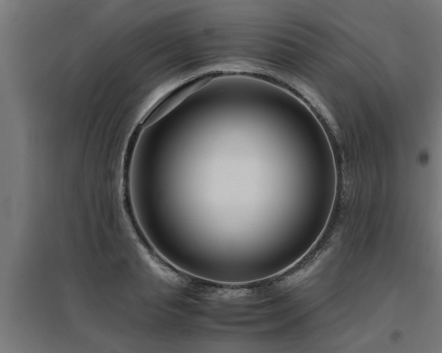 X0000094970845200712061426