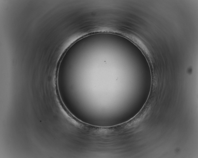 X0000094970847200712061426