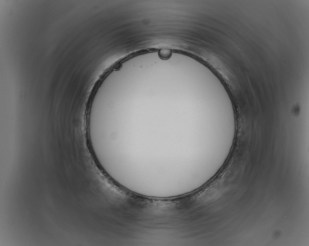 X0000094970848200712061426