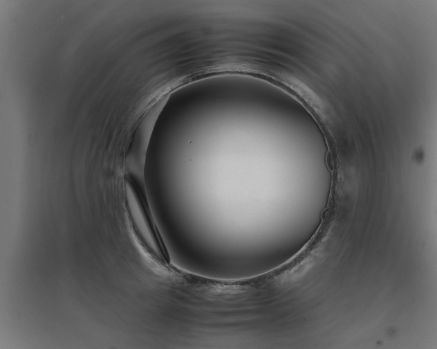 X0000094970849200712061426