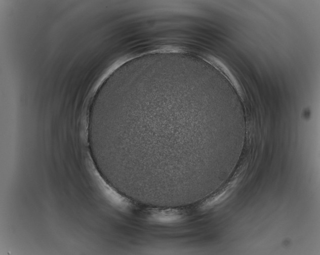 X0000094970851200712061426