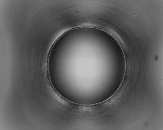 X0000094970852200712061426