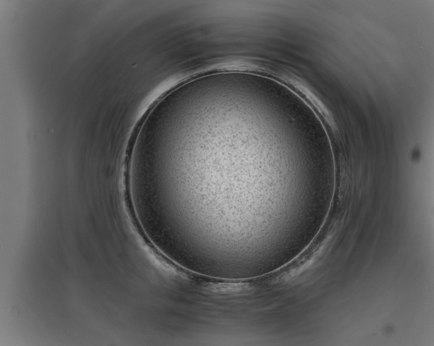 X0000094970853200712061426