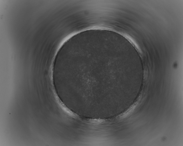 X0000094970854200712061426