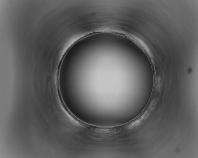 X0000094970855200712061426