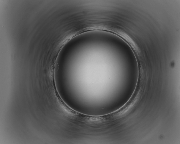 X0000094970857200712061426