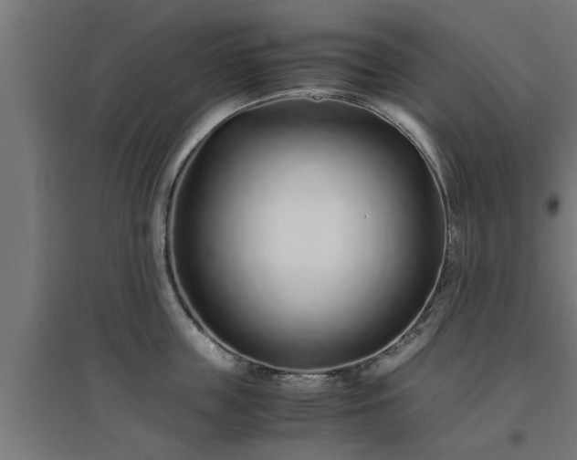 X0000094970859200712061426