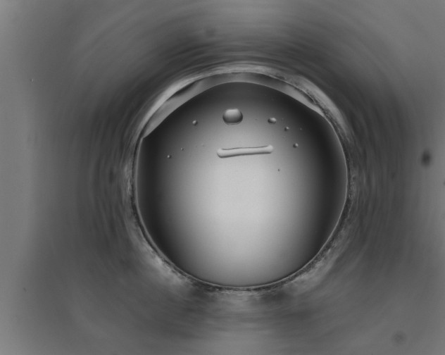 X0000094970860200712061426