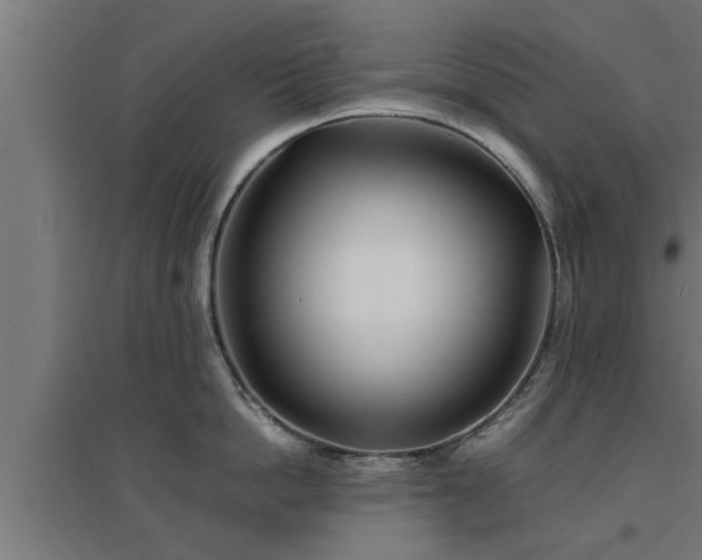 X0000094970862200712061426