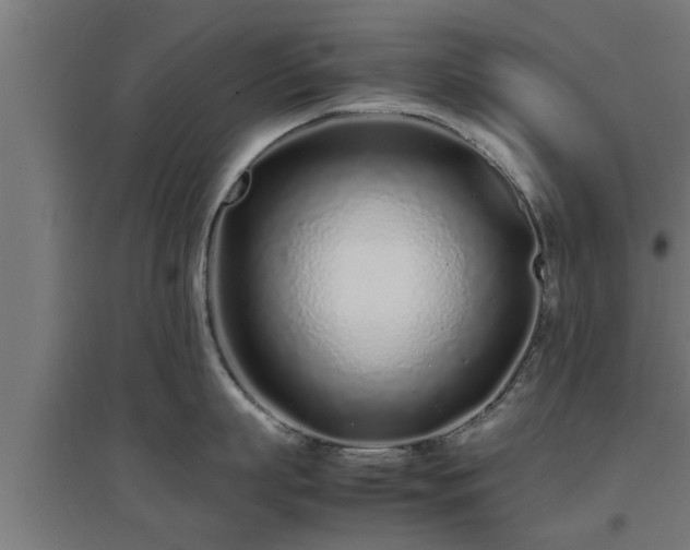 X0000094970863200712061426