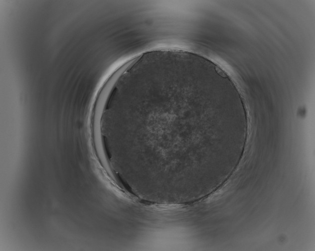 X0000094970864200712061426