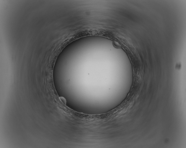 X0000094970865200712061426