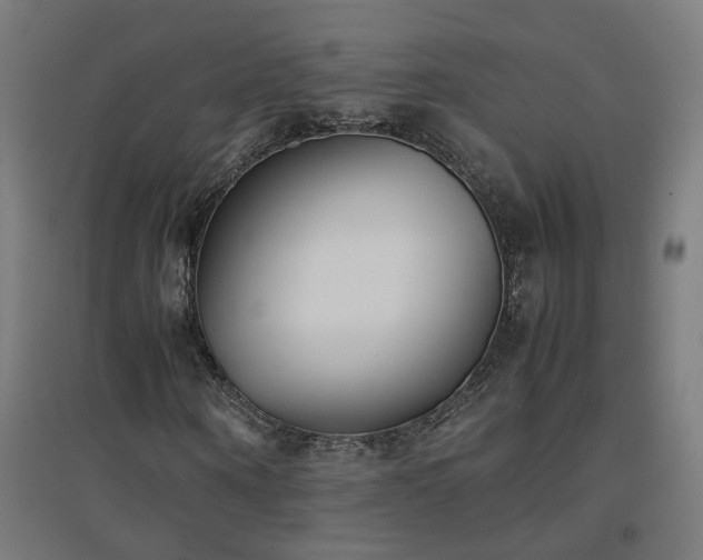 X0000094970866200712061426