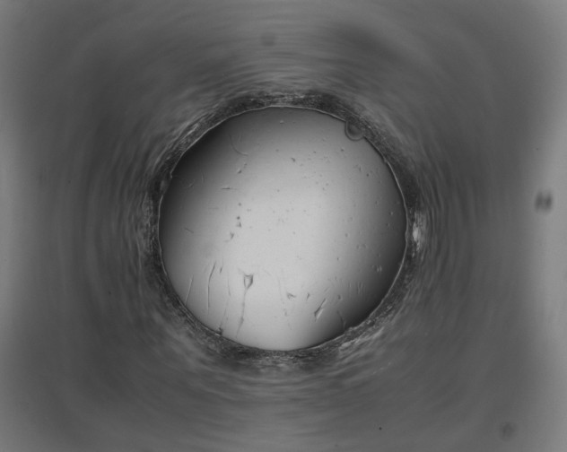 X0000094970867200712061426