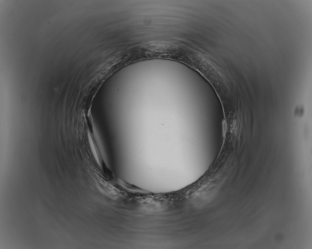 X0000094970868200712061426