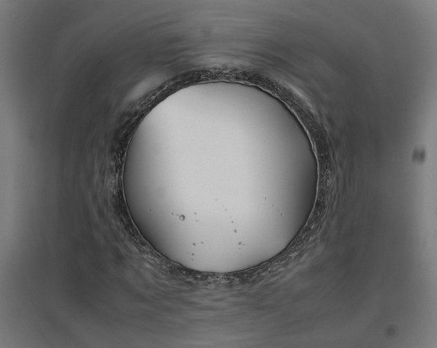 X0000094970869200712061426