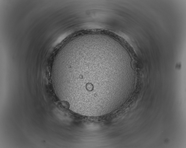 X0000094970871200712061426