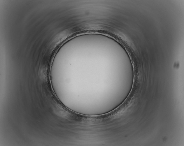 X0000094970873200712061426