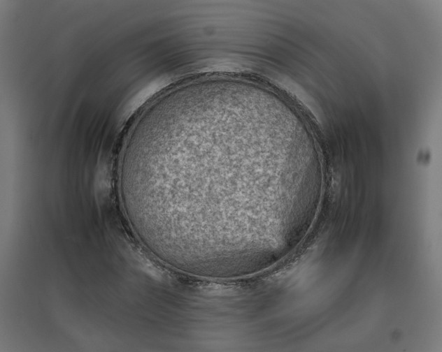 X0000094970874200712061426