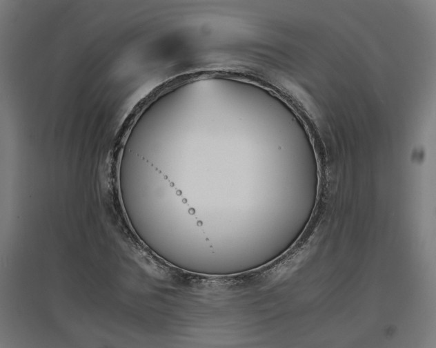 X0000094970875200712061426