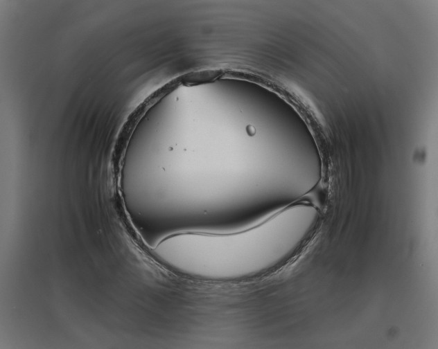 X0000094970876200712061425