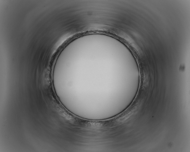 X0000094970878200712061425