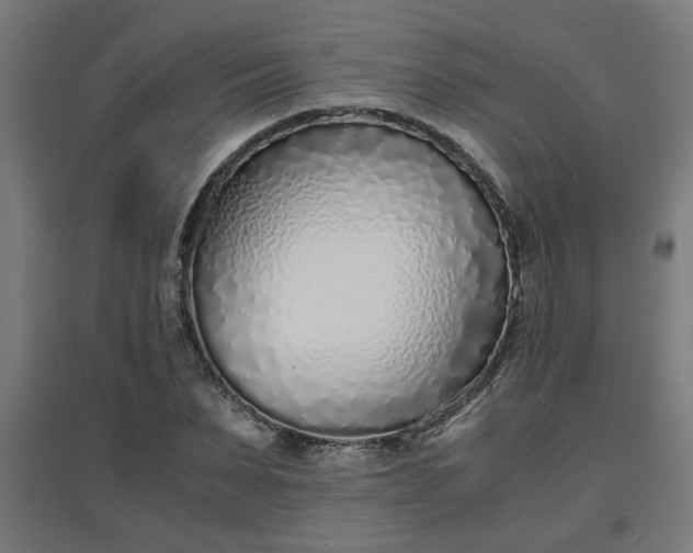 X0000094970879200712061425