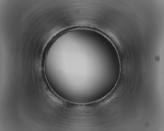 X0000094970880200712061425