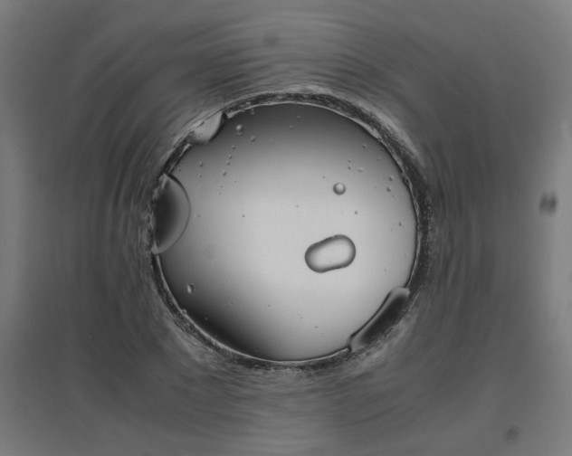 X0000094970881200712061425