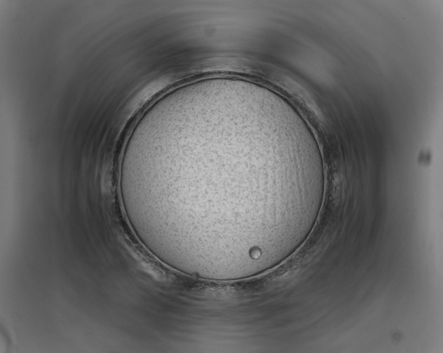 X0000094970882200712061425