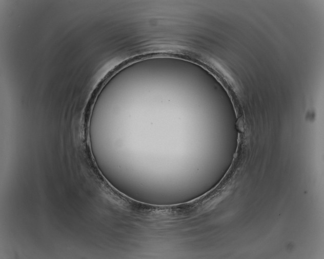 X0000094970883200712061425