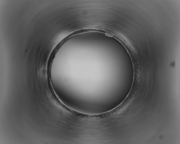 X0000094970884200712061425