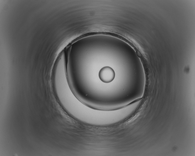 X0000094970885200712061425