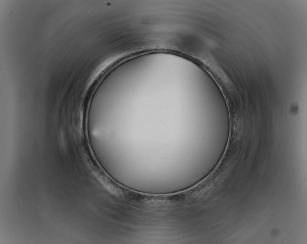 X0000094970886200712061425