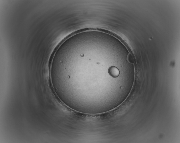 X0000094970887200712061425