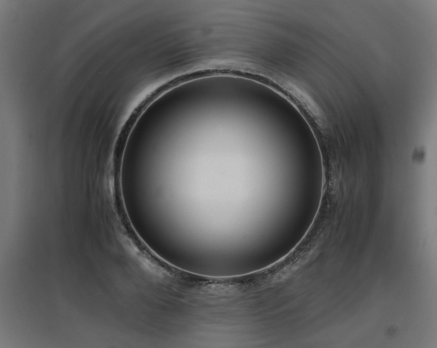 X0000094970888200712061425