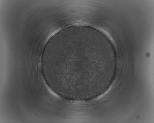 X0000094970889200712061425