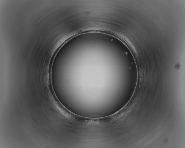 X0000094970890200712061425