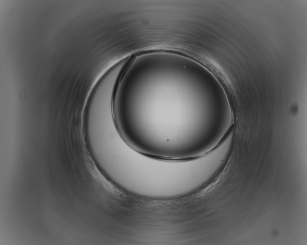 X0000094970892200712061425