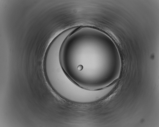 X0000094970893200712061425