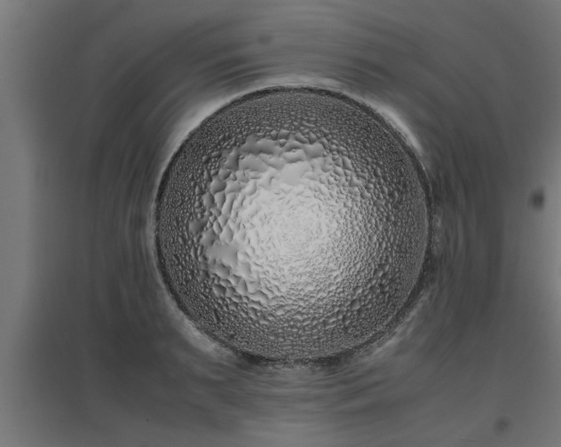 X0000094970895200712061425