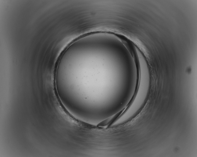 X0000094970896200712061425