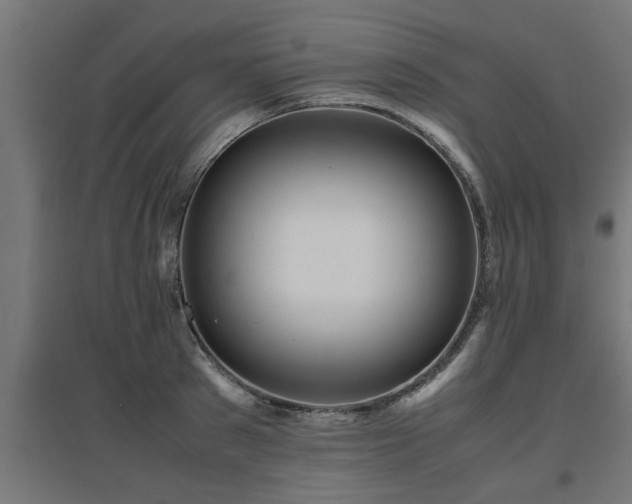 X0000094970897200712061425