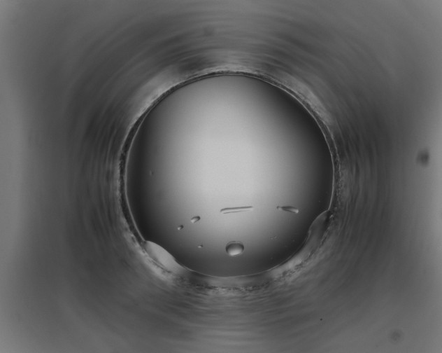 X0000094970898200712061425