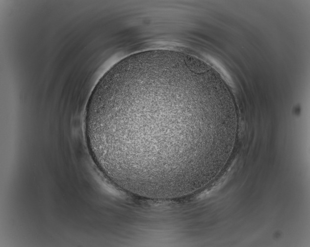 X0000094970899200712061425