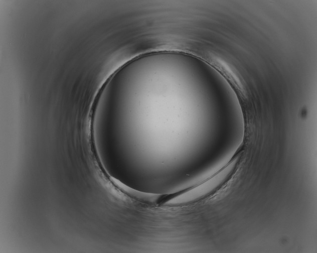 X0000094970900200712061425