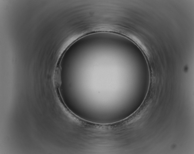 X0000094970901200712061425